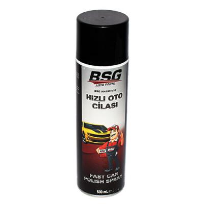 BSG HIZLI CİLA SPREY (500 ML)