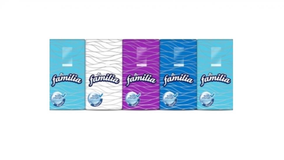 HAYAT FAMILIA CEP MENDİL 10’LU PAKET 3 KAT
